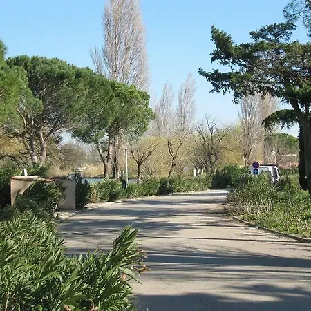 Les Amandiers N°808 * Arles