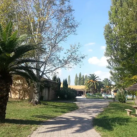 Les Amandiers N°808 Apartment Arles