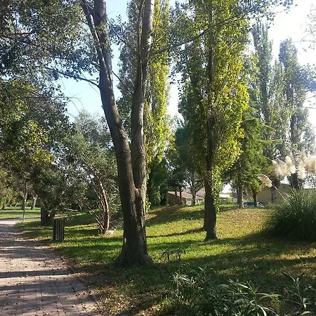Les Amandiers N°808 Apartment